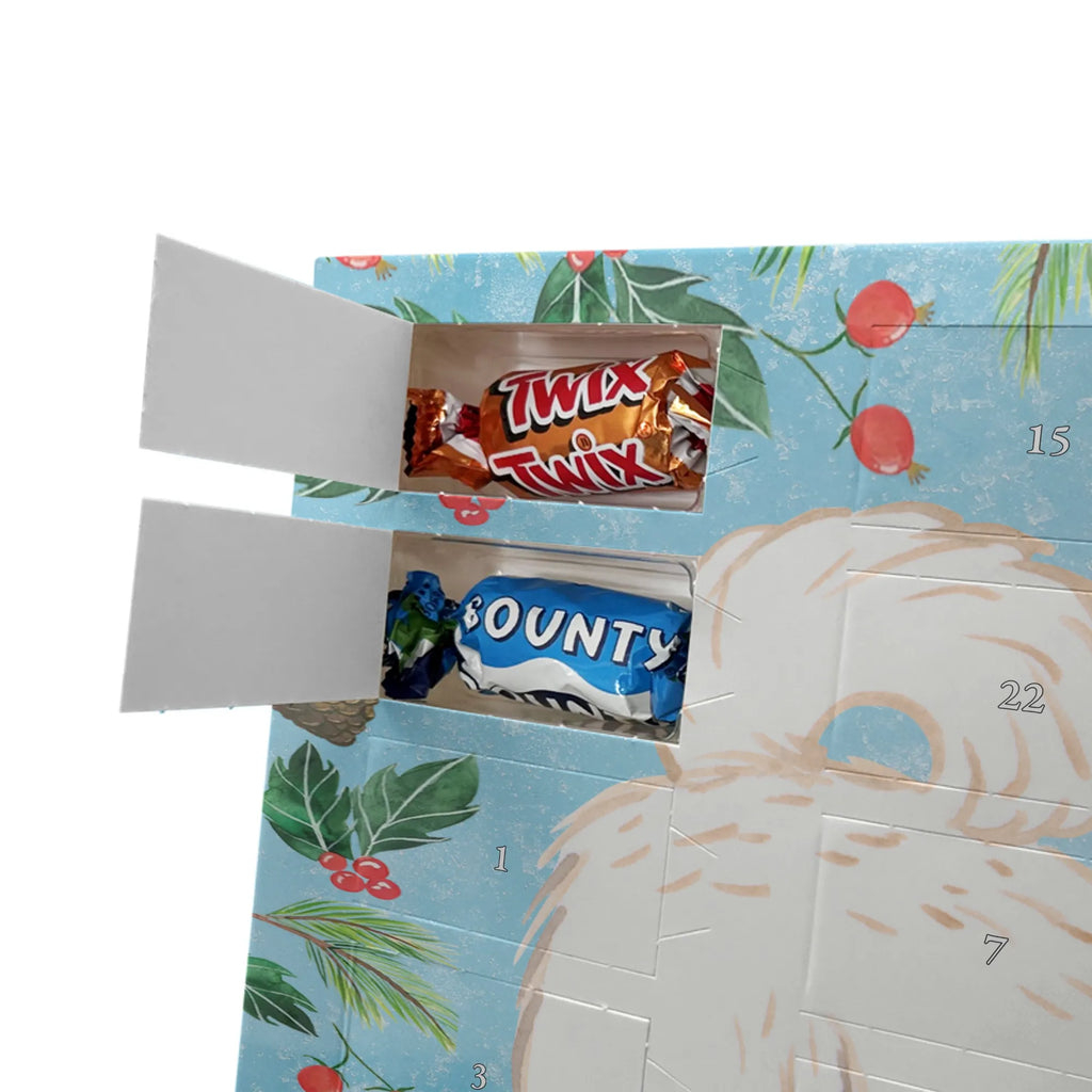 Chocolate advent calendar Maltipoo Moment puppy, dog owner, purebred dog, dog breed, giving, animal lover, gift