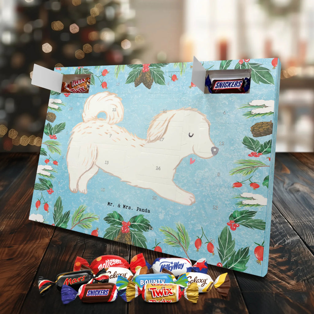 Chocolate advent calendar Maltipoo Moment puppy, dog owner, purebred dog, dog breed, giving, animal lover, gift