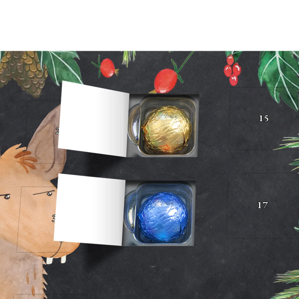 Chocolate advent calendar llama head Annoyed Llama, alpaca, trendy animal, best friend, being right, being annoyed, office life, apprentice, girlfriend