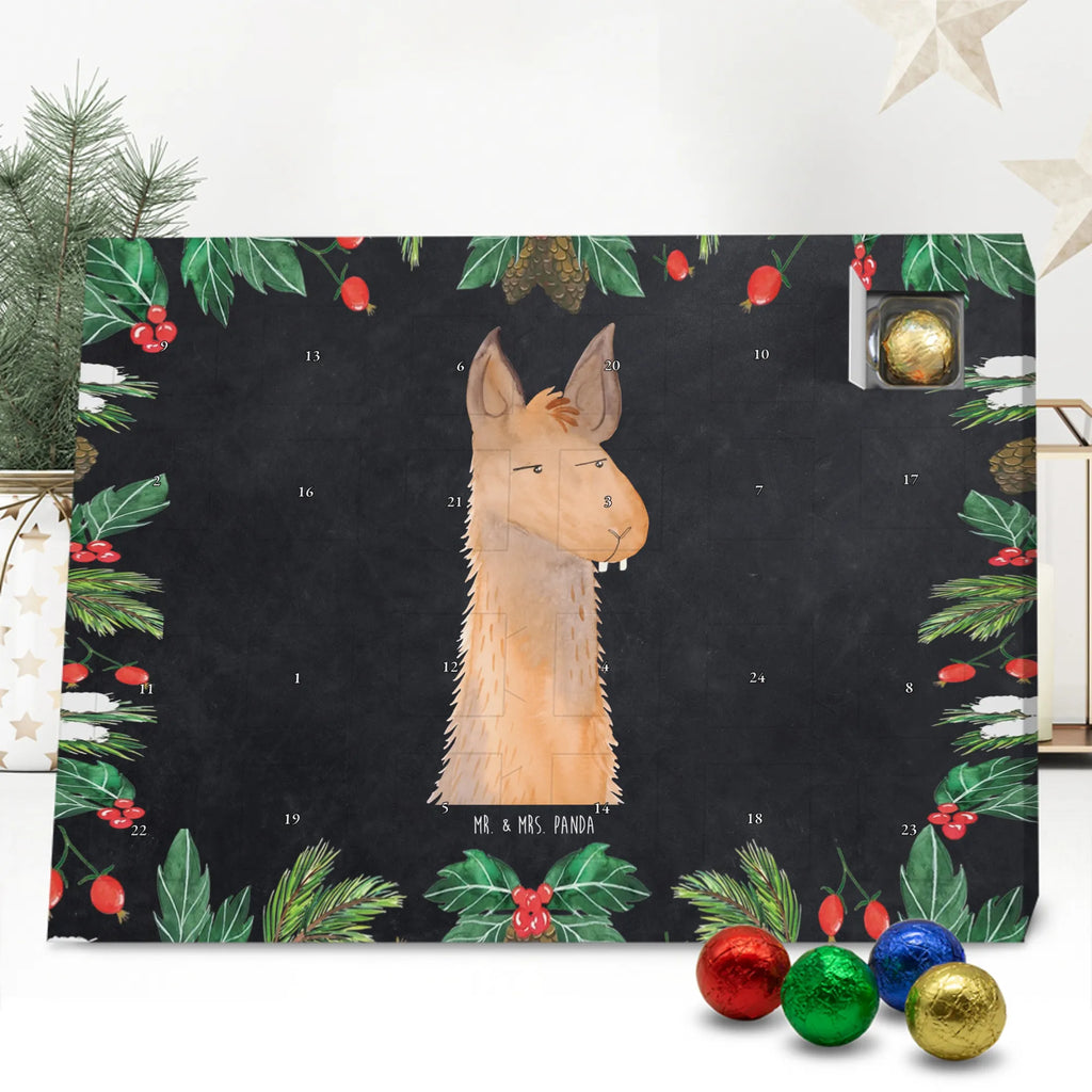 Chocolate advent calendar llama head Annoyed Llama, alpaca, trendy animal, best friend, being right, being annoyed, office life, apprentice, girlfriend