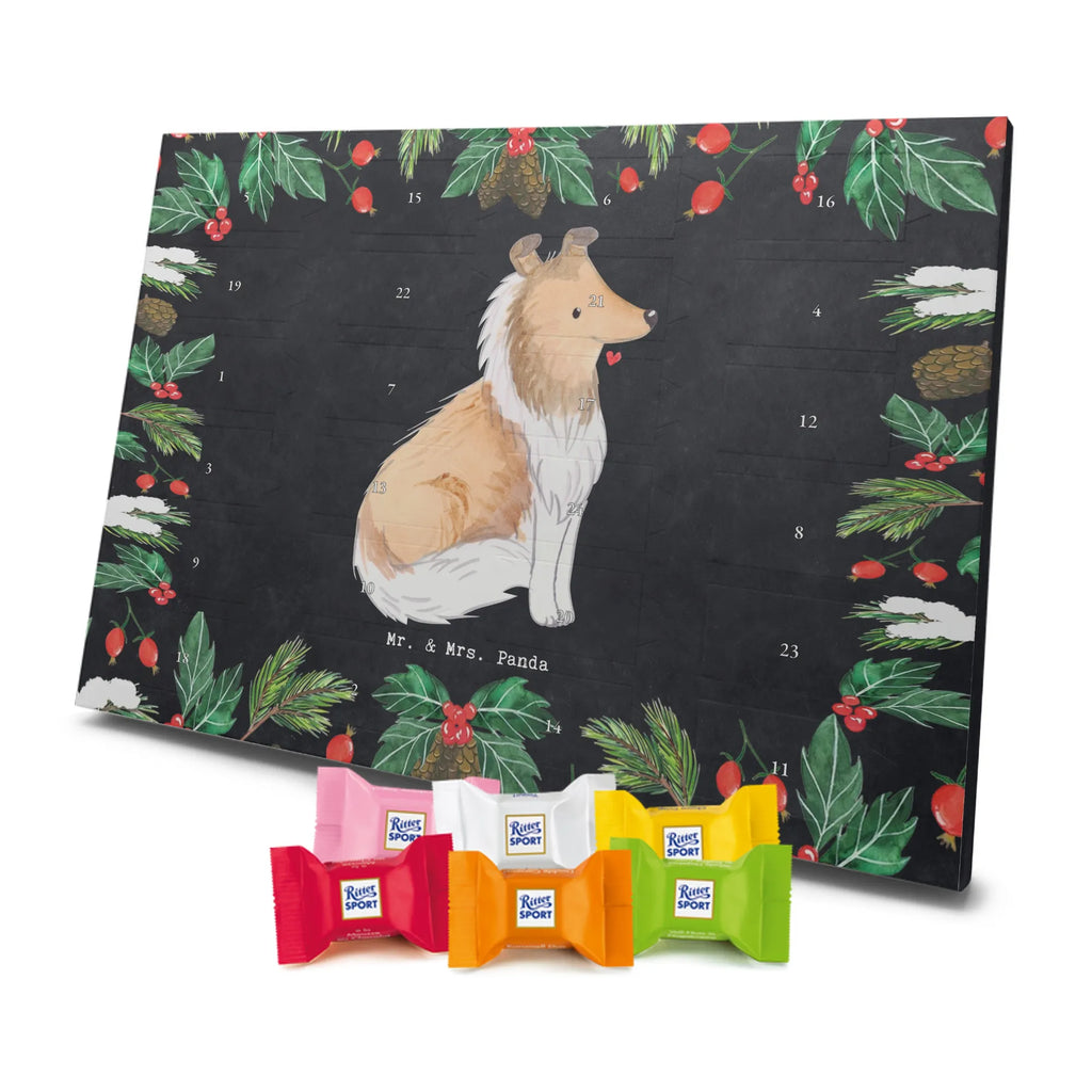 Chocolate advent calendar Long-haired Collie Moment puppy, dog owner, purebred dog, dog breed, giving, animal lover, gift