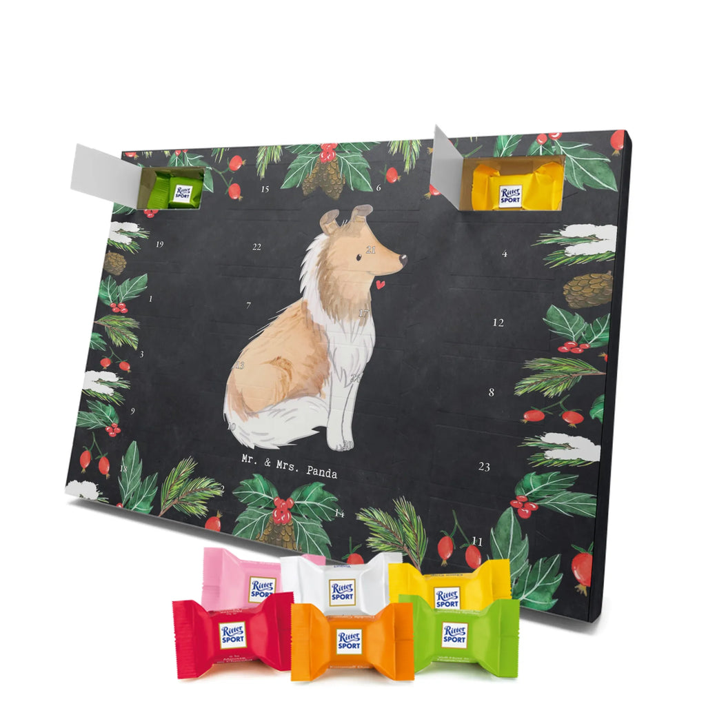 Chocolate advent calendar Long-haired Collie Moment puppy, dog owner, purebred dog, dog breed, giving, animal lover, gift