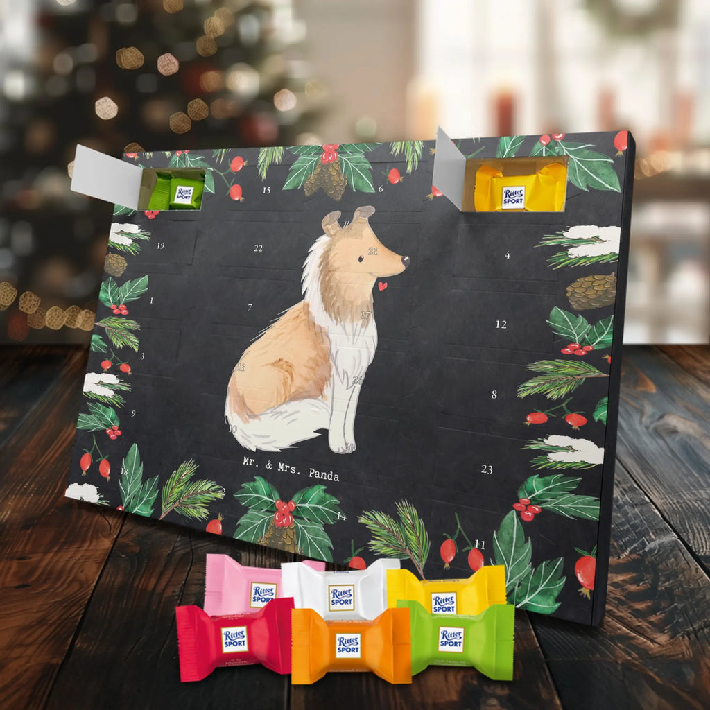 Chocolate advent calendar Long-haired Collie Moment puppy, dog owner, purebred dog, dog breed, giving, animal lover, gift