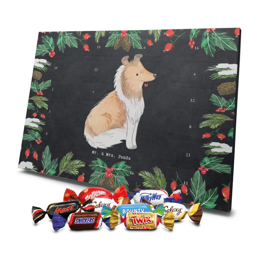 Chocolate advent calendar Long-haired Collie Moment puppy, dog owner, purebred dog, dog breed, giving, animal lover, gift