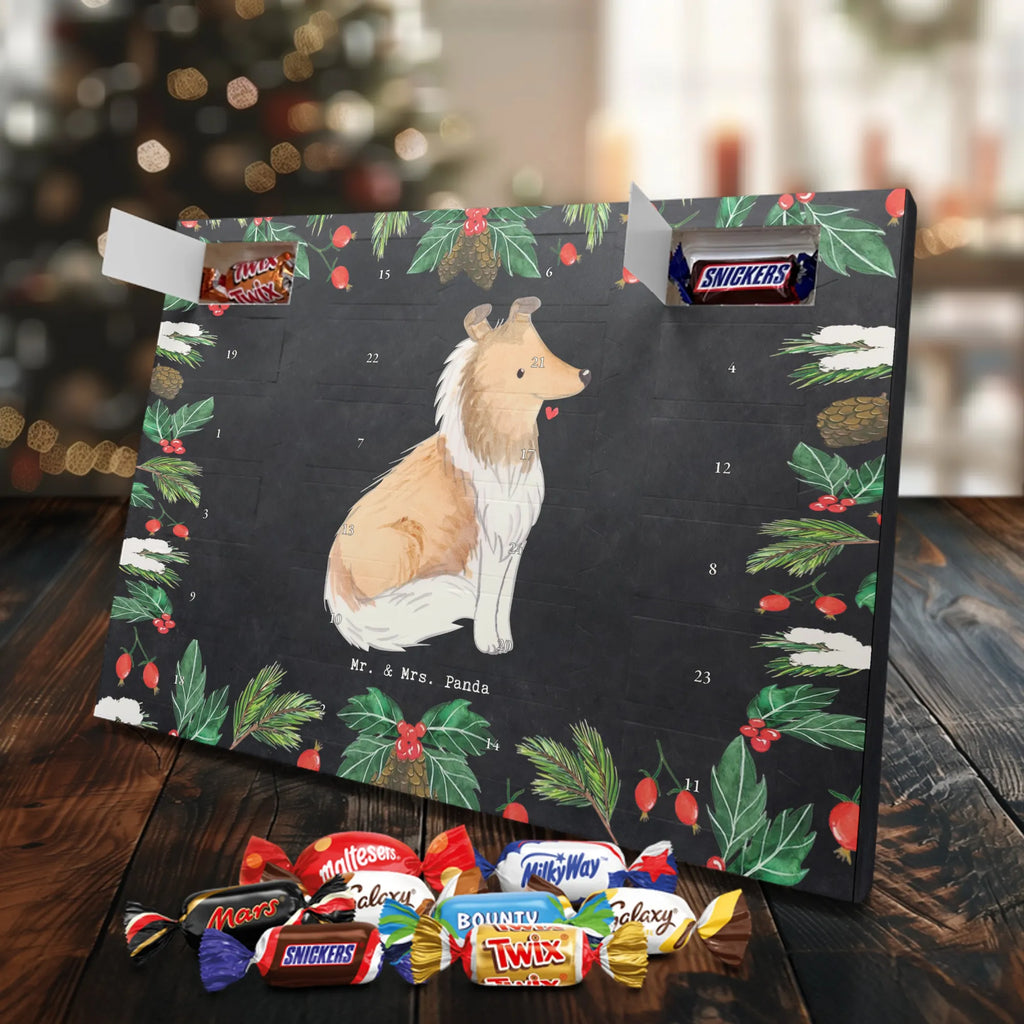Chocolate advent calendar Long-haired Collie Moment puppy, dog owner, purebred dog, dog breed, giving, animal lover, gift
