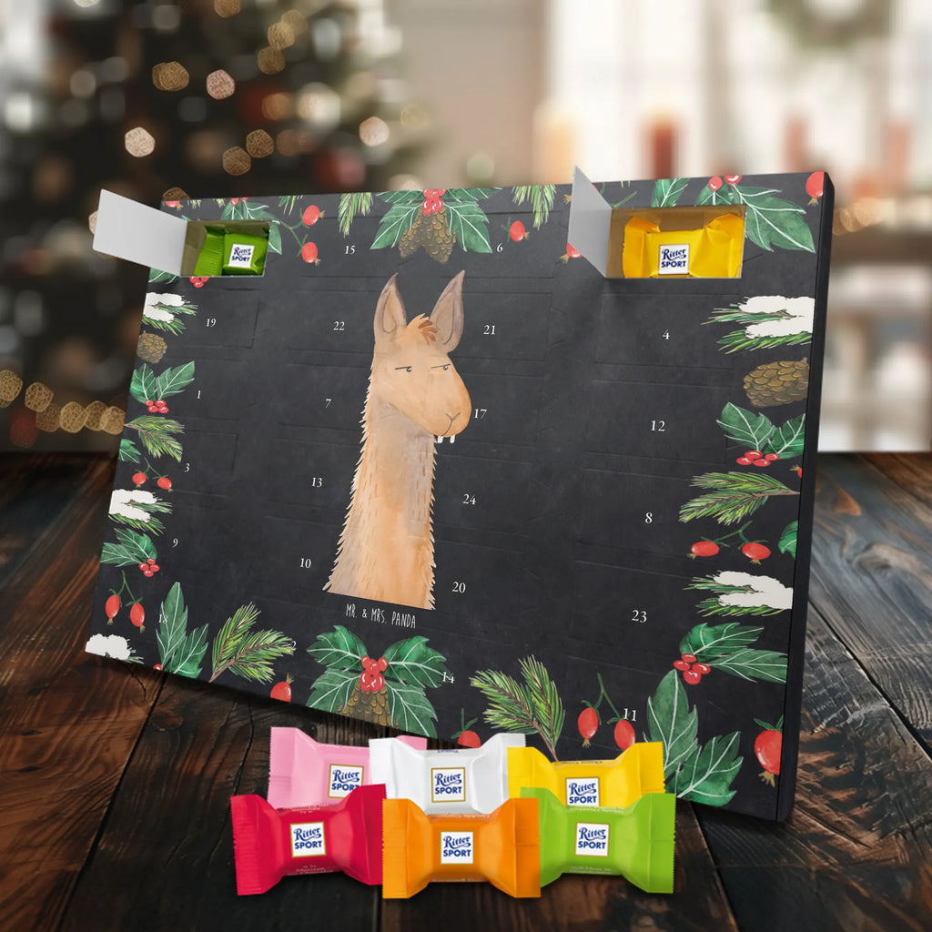 Chocolate advent calendar llama head Annoyed Llama, alpaca, trendy animal, best friend, being right, being annoyed, office life, apprentice, girlfriend