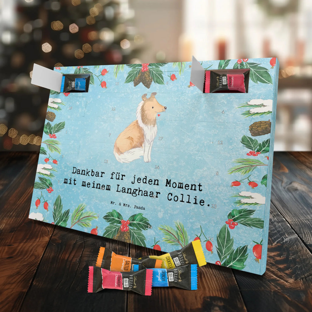 Chocolate advent calendar Long-haired Collie Moment puppy, dog owner, purebred dog, dog breed, giving, animal lover, gift