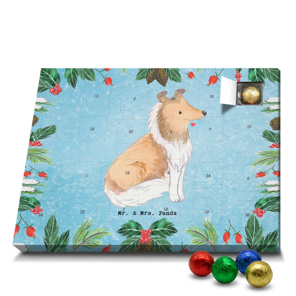 Chocolate advent calendar Long-haired Collie Moment puppy, dog owner, purebred dog, dog breed, giving, animal lover, gift