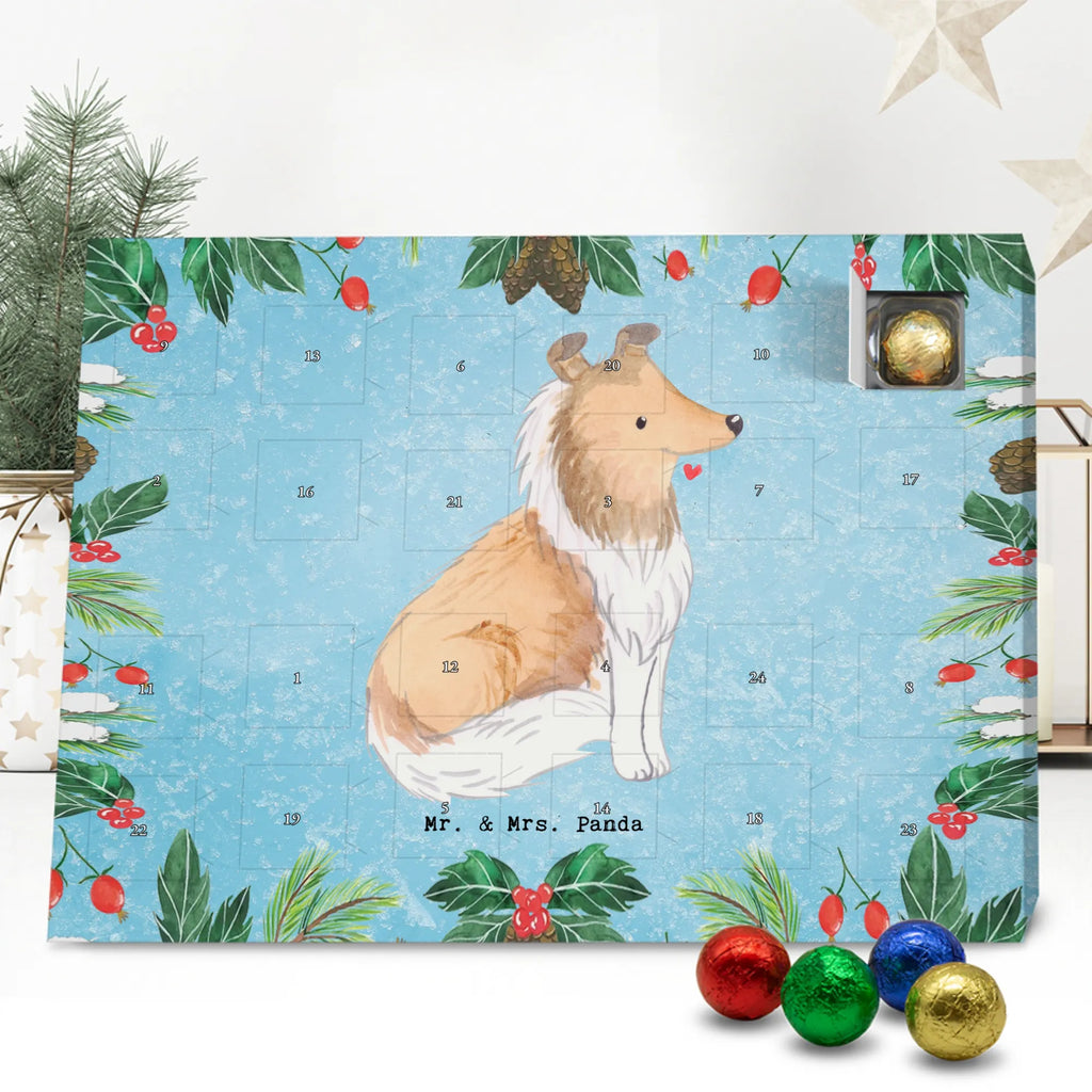 Chocolate advent calendar Long-haired Collie Moment puppy, dog owner, purebred dog, dog breed, giving, animal lover, gift