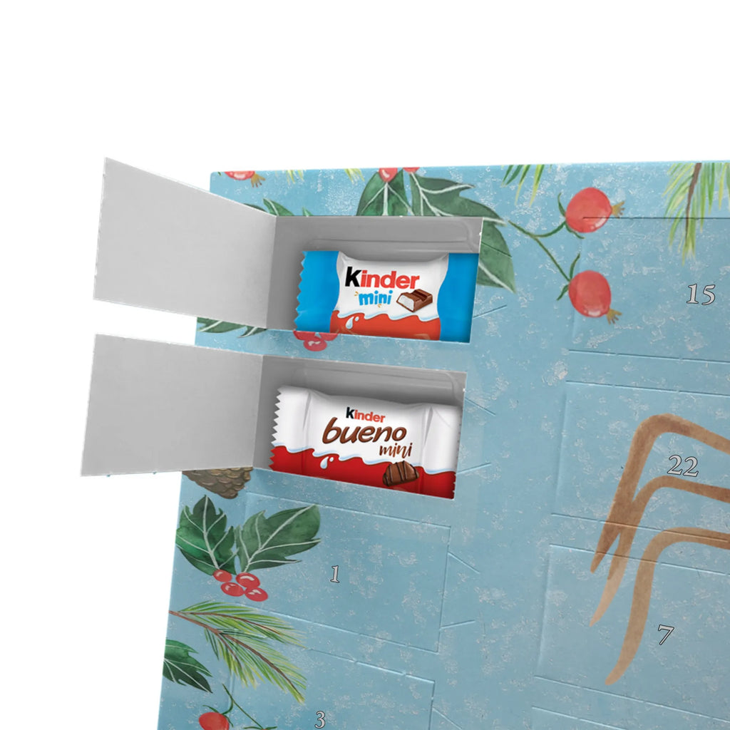 Chocolate advent calendar Spider Agathe coffee Spider, Spider Agathe