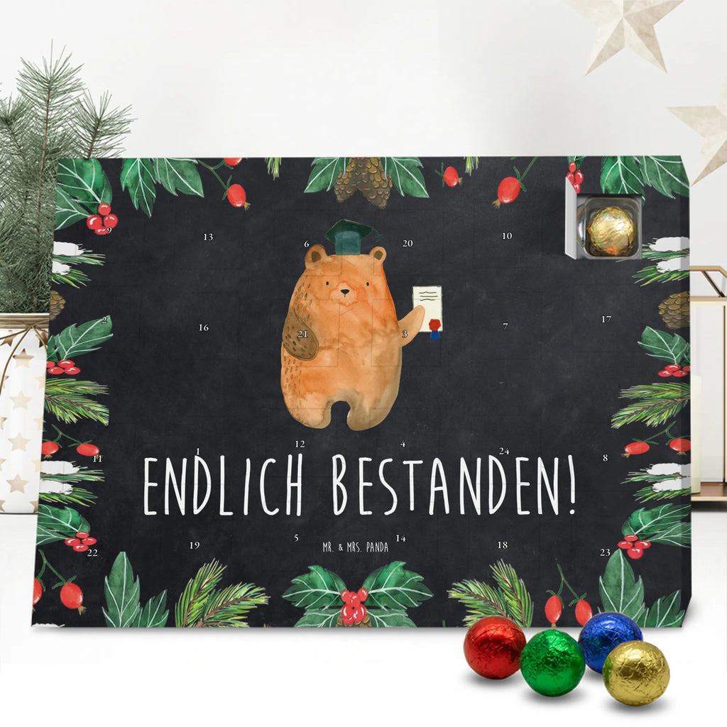 Chocolate advent calendar bear Test cuddly toy, teddy bear, diploma, examination passed, certificate, examinations, degree