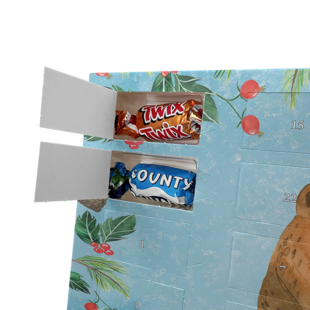 Chocolate advent calendar bear Test cuddly toy, teddy bear, diploma, examination passed, certificate, examinations, degree