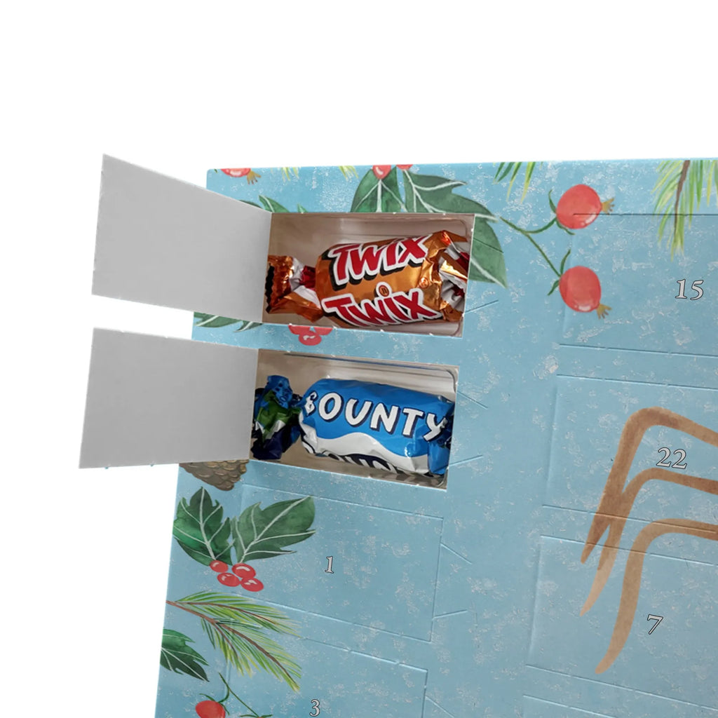 Chocolate advent calendar Spider Agathe coffee Spider, Spider Agathe