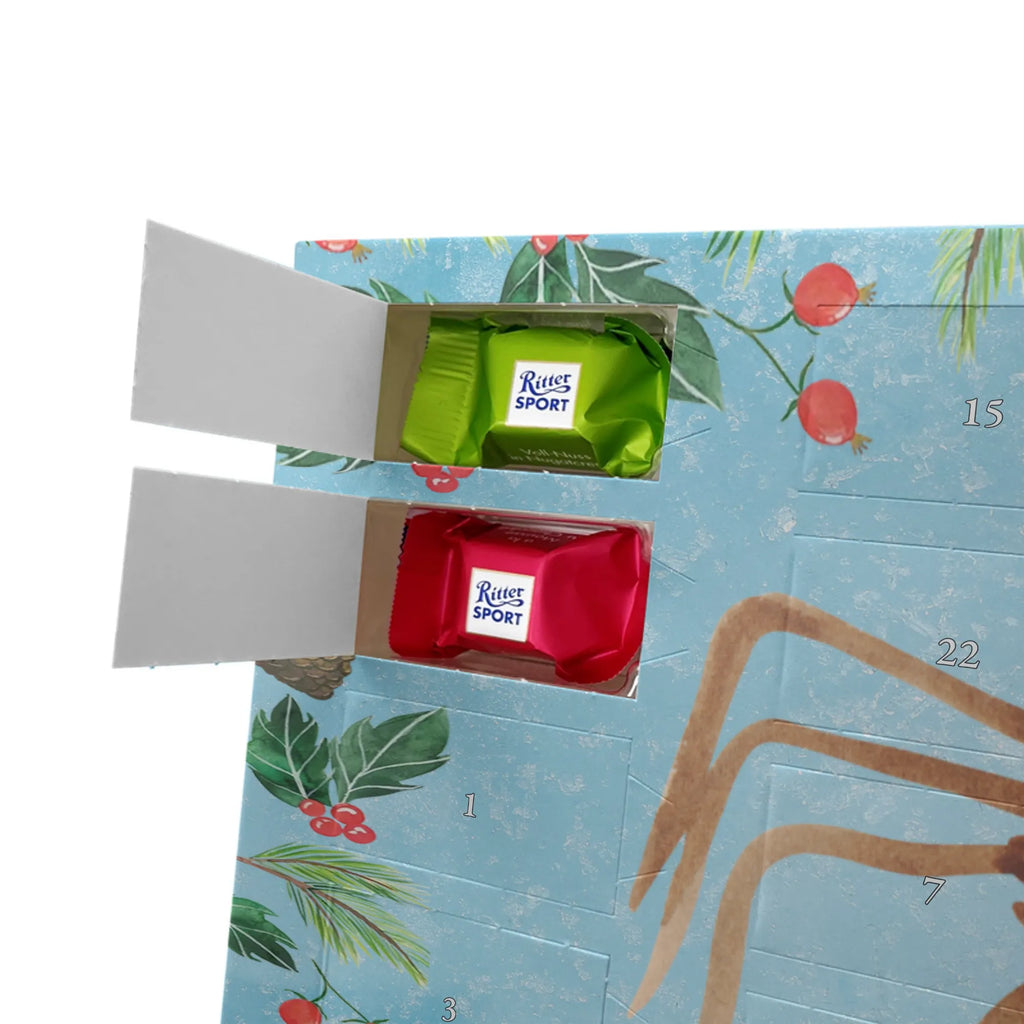 Chocolate advent calendar Spider Agathe coffee Spider, Spider Agathe