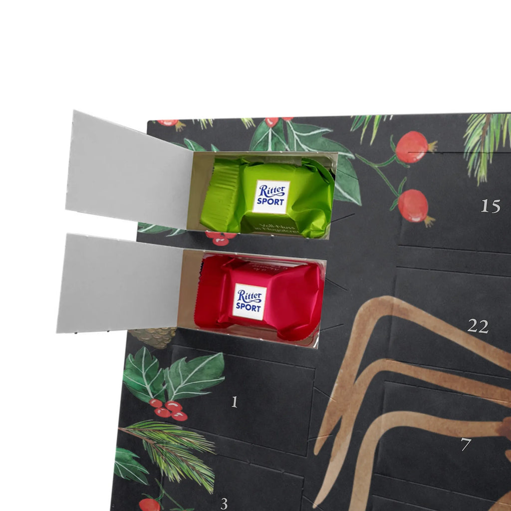 Chocolate advent calendar Spider Agathe coffee Spider, Spider Agathe