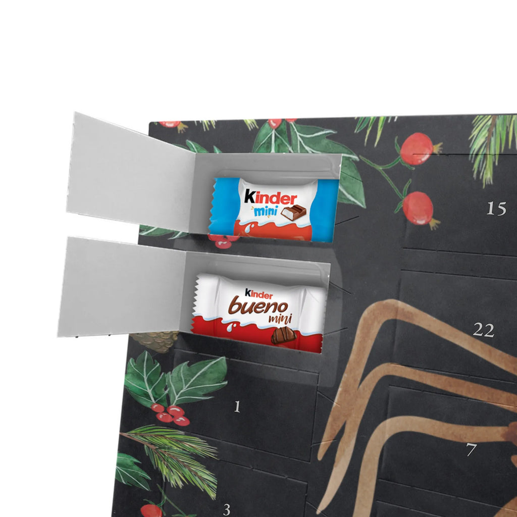 Chocolate advent calendar Spider Agathe coffee Spider, Spider Agathe