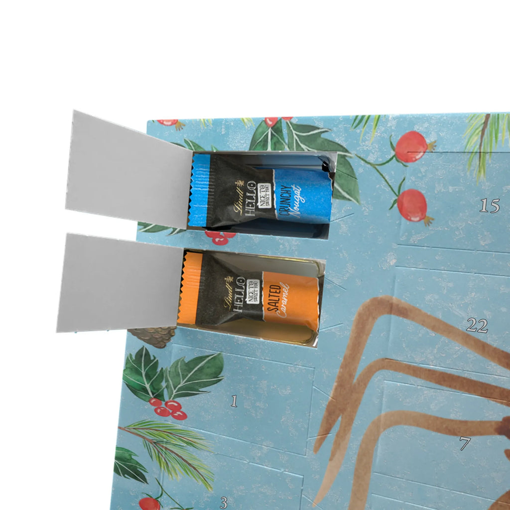 Chocolate advent calendar Spider Agathe coffee Spider, Spider Agathe