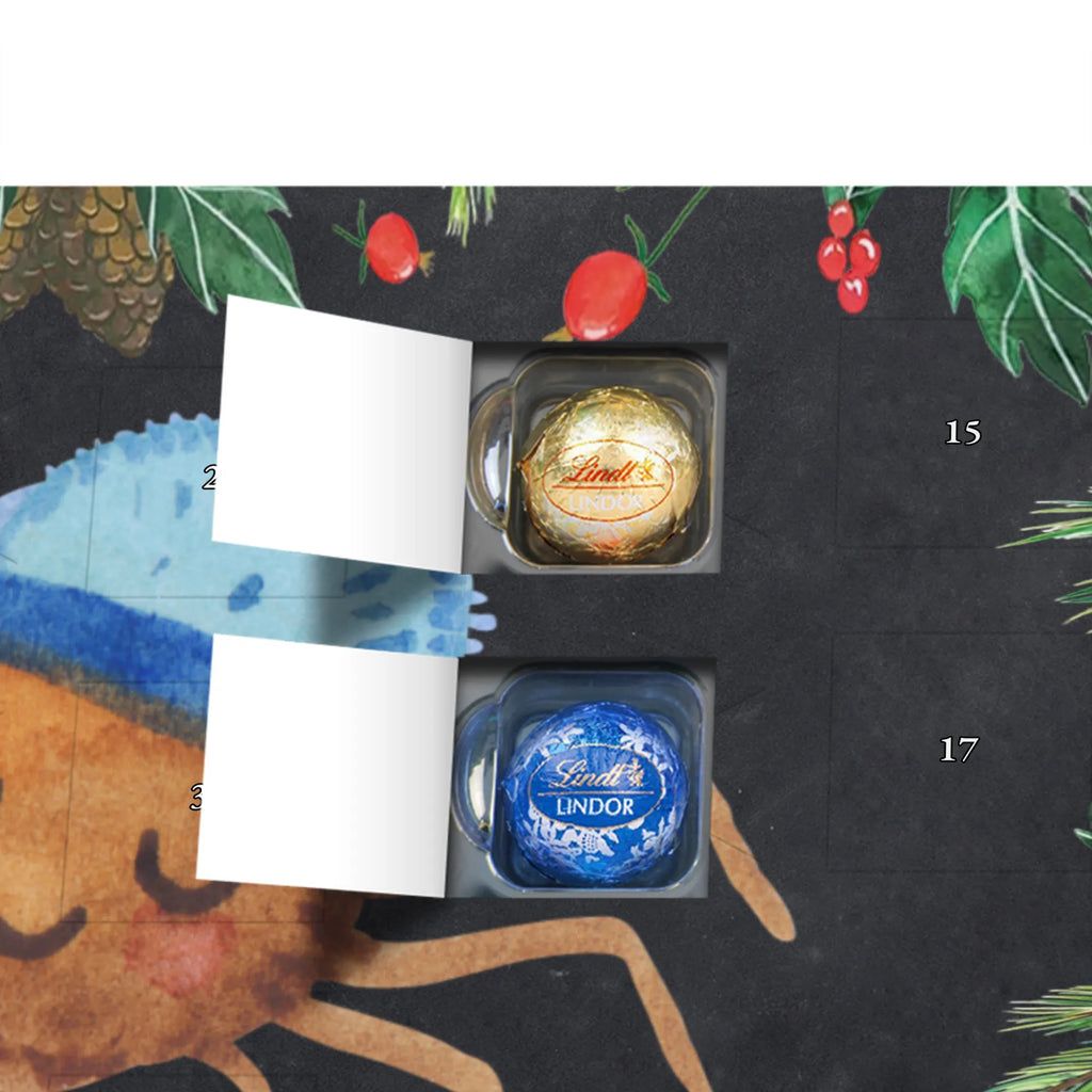 Chocolate advent calendar Spider Agathe coffee Spider, Spider Agathe