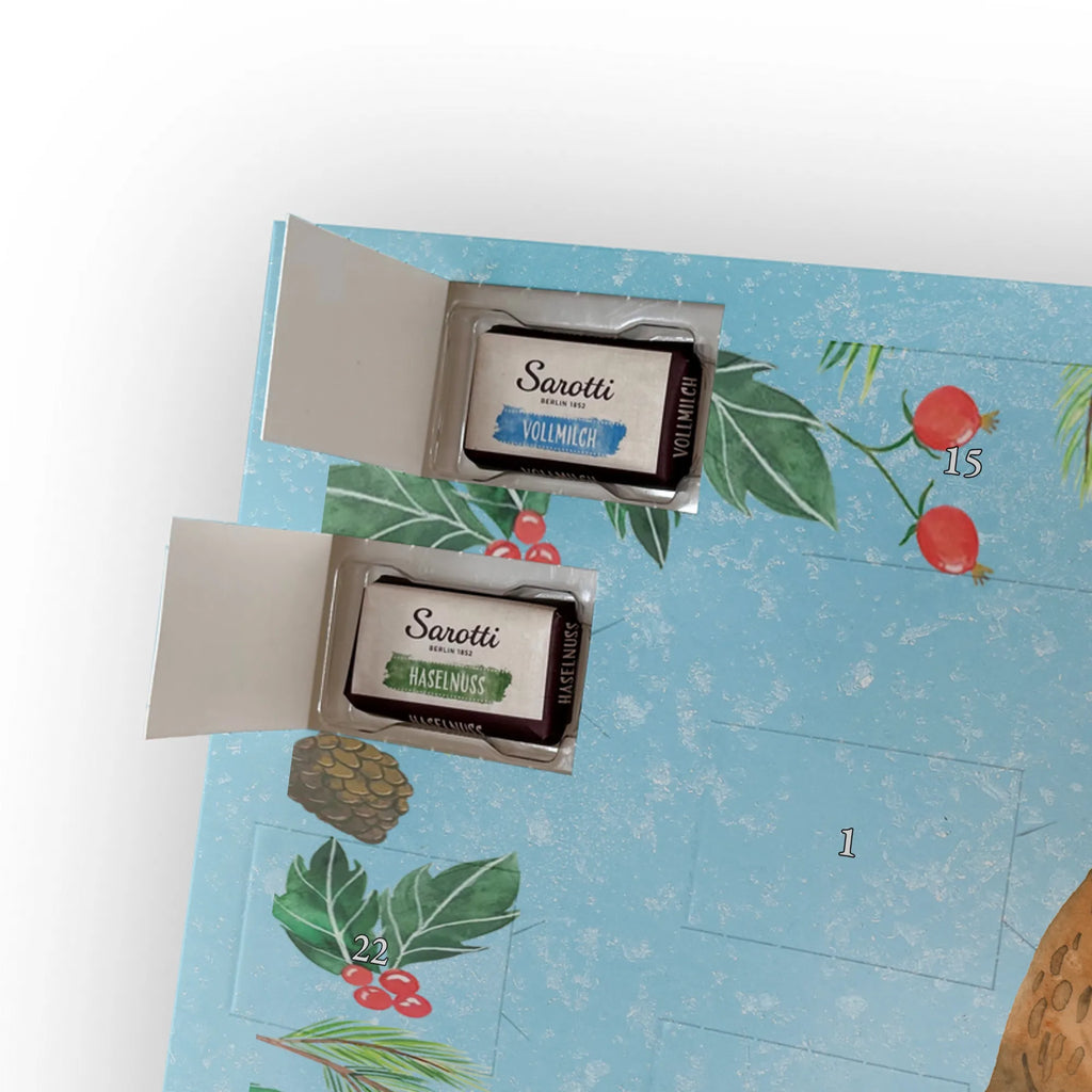 Chocolate advent calendar bear Test cuddly toy, teddy bear, diploma, examination passed, certificate, examinations, degree