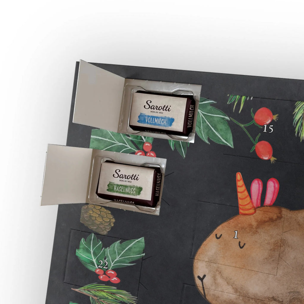 Chocolate advent calendar unicorn Guinea pig guinea pig, squirrels