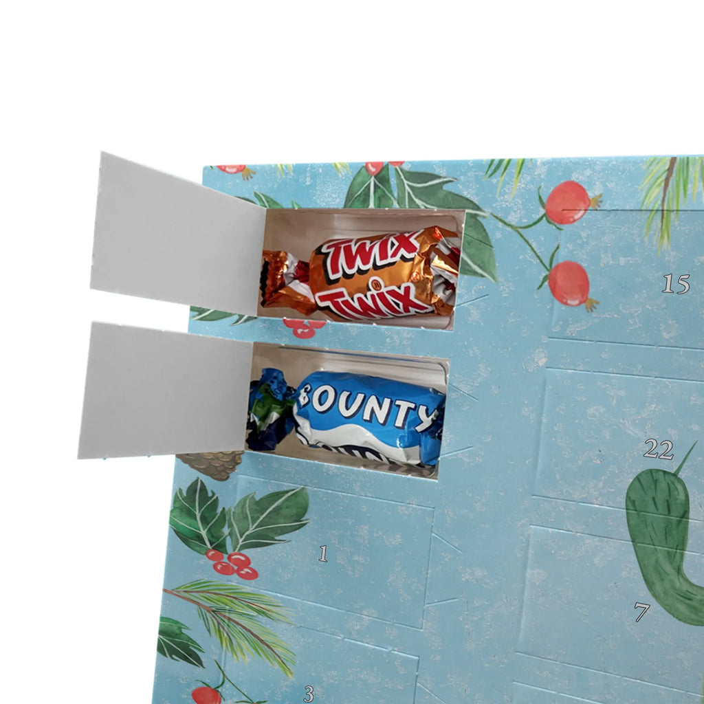 Chocolate advent calendar cactus Fury cactus, cactuses, plants, small green cactus, cactus plant, colleague, angry, annoy, office life, school