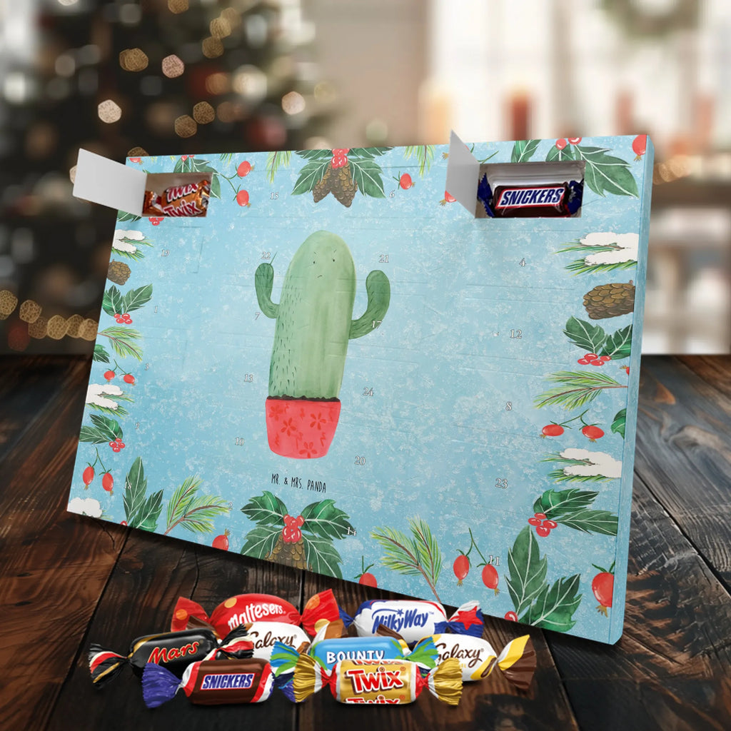 Chocolate advent calendar cactus Fury cactus, cactuses, plants, small green cactus, cactus plant, colleague, angry, annoy, office life, school