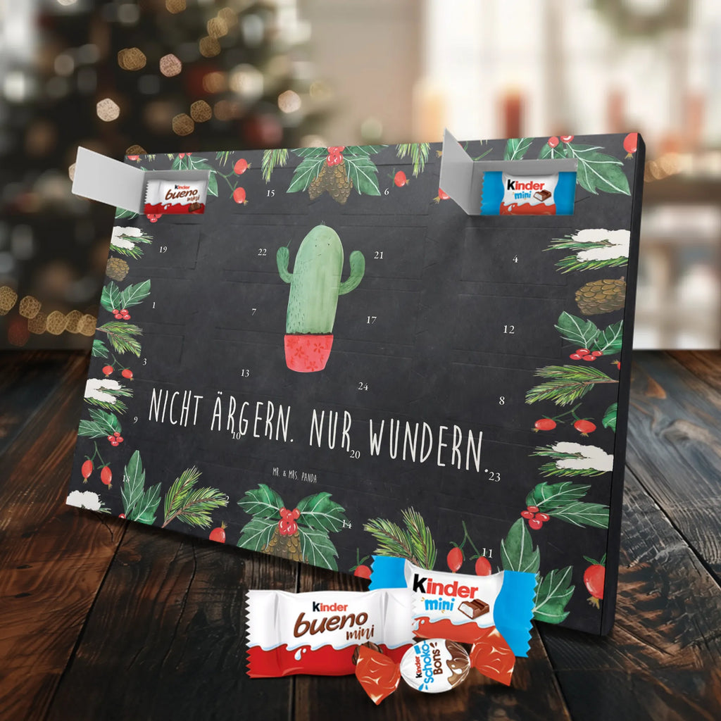 Chocolate advent calendar cactus Fury cactus, cactuses, plants, small green cactus, cactus plant, colleague, angry, annoy, office life, school