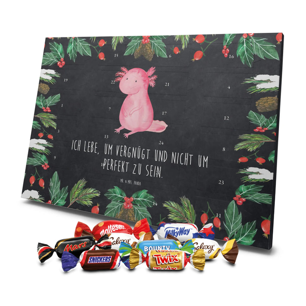 Chocolate advent calendar axolotl zero Mexican walking fish, Axelotl, marine animals, salamander, lifestyle, girlfriend, cheerful, contented, worldly wisdom, wisdom