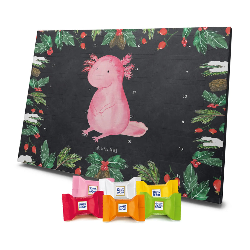 Chocolate advent calendar axolotl zero Mexican walking fish, Axelotl, marine animals, salamander, lifestyle, girlfriend, cheerful, contented, worldly wisdom, wisdom