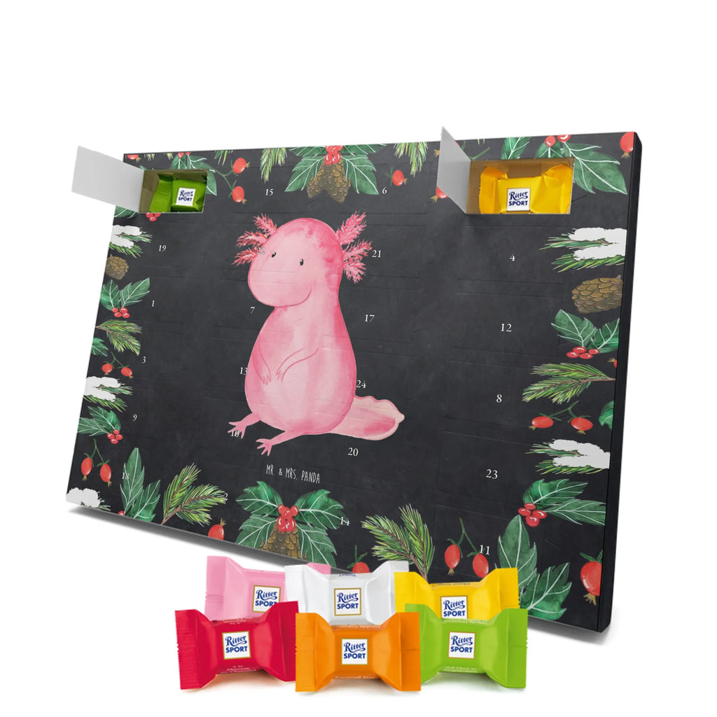Chocolate advent calendar axolotl zero Mexican walking fish, Axelotl, marine animals, salamander, lifestyle, girlfriend, cheerful, contented, worldly wisdom, wisdom