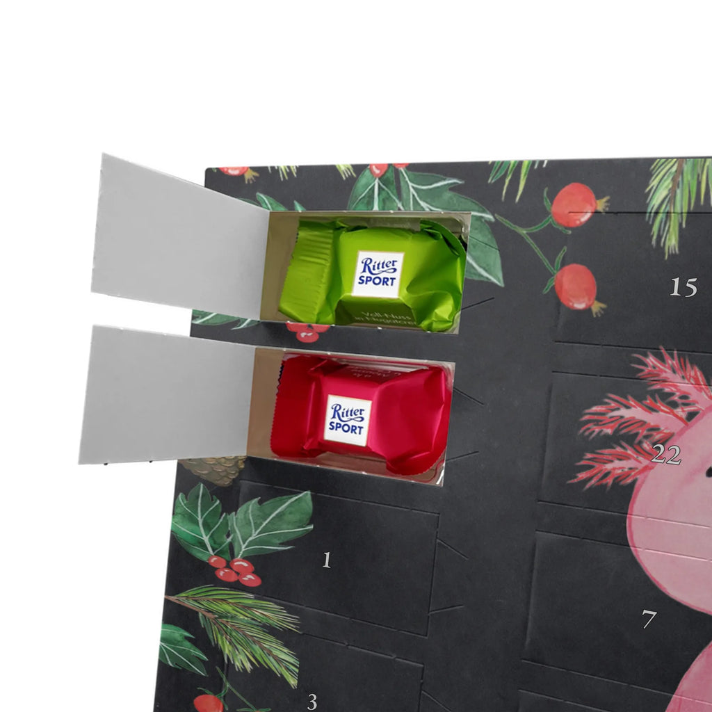 Weihnachtskalender Axolotl Niedlich schokokalender, Adventskalender, schokolade adventskalender, pralinen adventskalender, Adventskalender Schokolade, Schokoladen Adventskalender, Schoko-Adventskalender, Weihnachten Adventskalender, adventskalender schoko, kalender schokolade, adventskalender süßigkeiten, Schokoladen-Weihnachtskalender, süßigkeiten kalender, kalender weihnachten, Weihnachtskalender, Schokoladen-Adventskalender, schoko kalender, weihnachtskalender schoko, Weihnachtskalender Schokolade, Schoko Adventskalender, süßigkeiten adventskalender, adventskalender pralinen, Weihnachts Kalender, schokoladenkalender, schokoladen kalender, schoko weihnachtskalender, Molch, Axolotl, Liebe, Freundin, Axolot, Zufrieden, Weisheit, Lebensstil, Vergnügt, Fröhlich, Lebensweisheit
