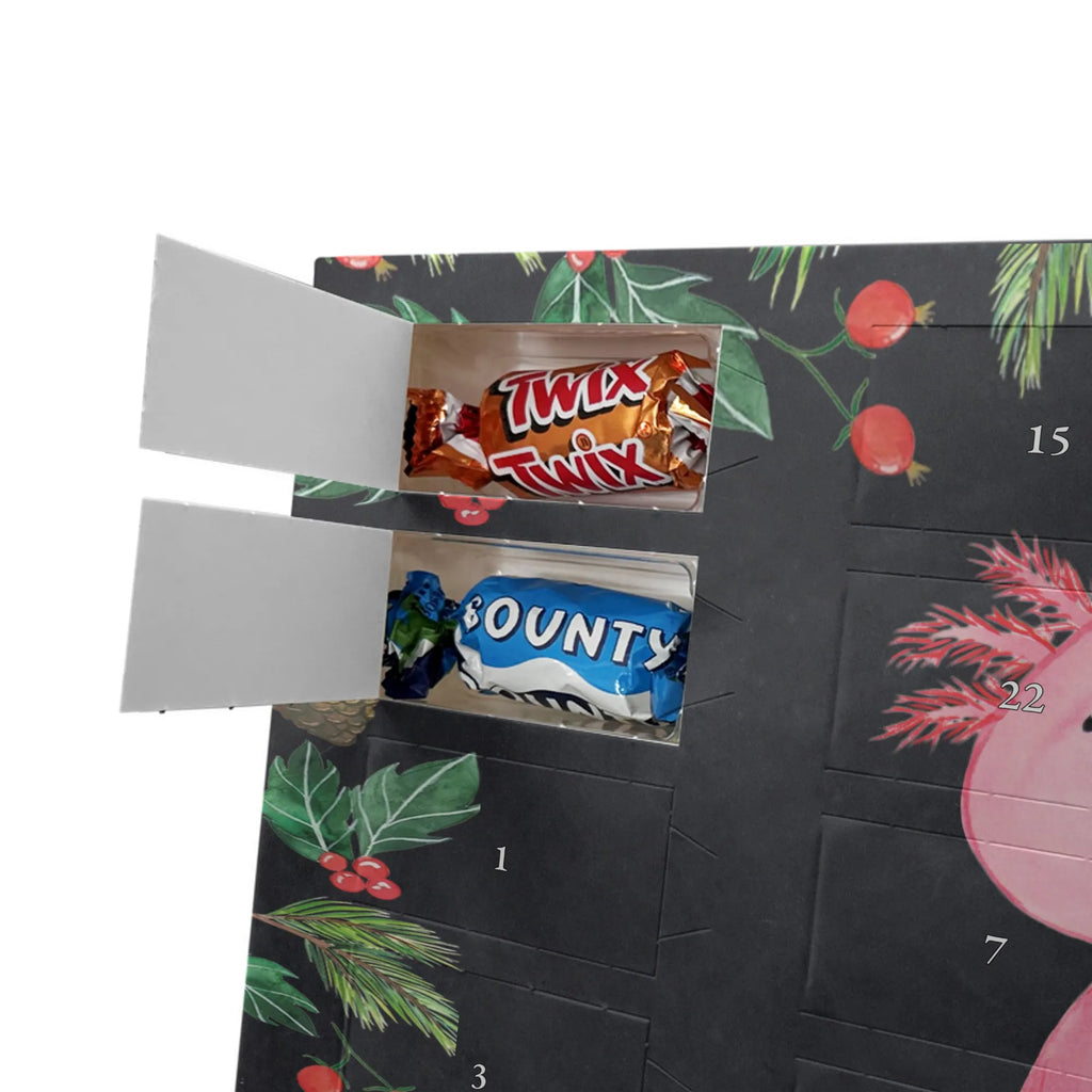 Chocolate advent calendar axolotl zero Mexican walking fish, Axelotl, marine animals, salamander, lifestyle, girlfriend, cheerful, contented, worldly wisdom, wisdom