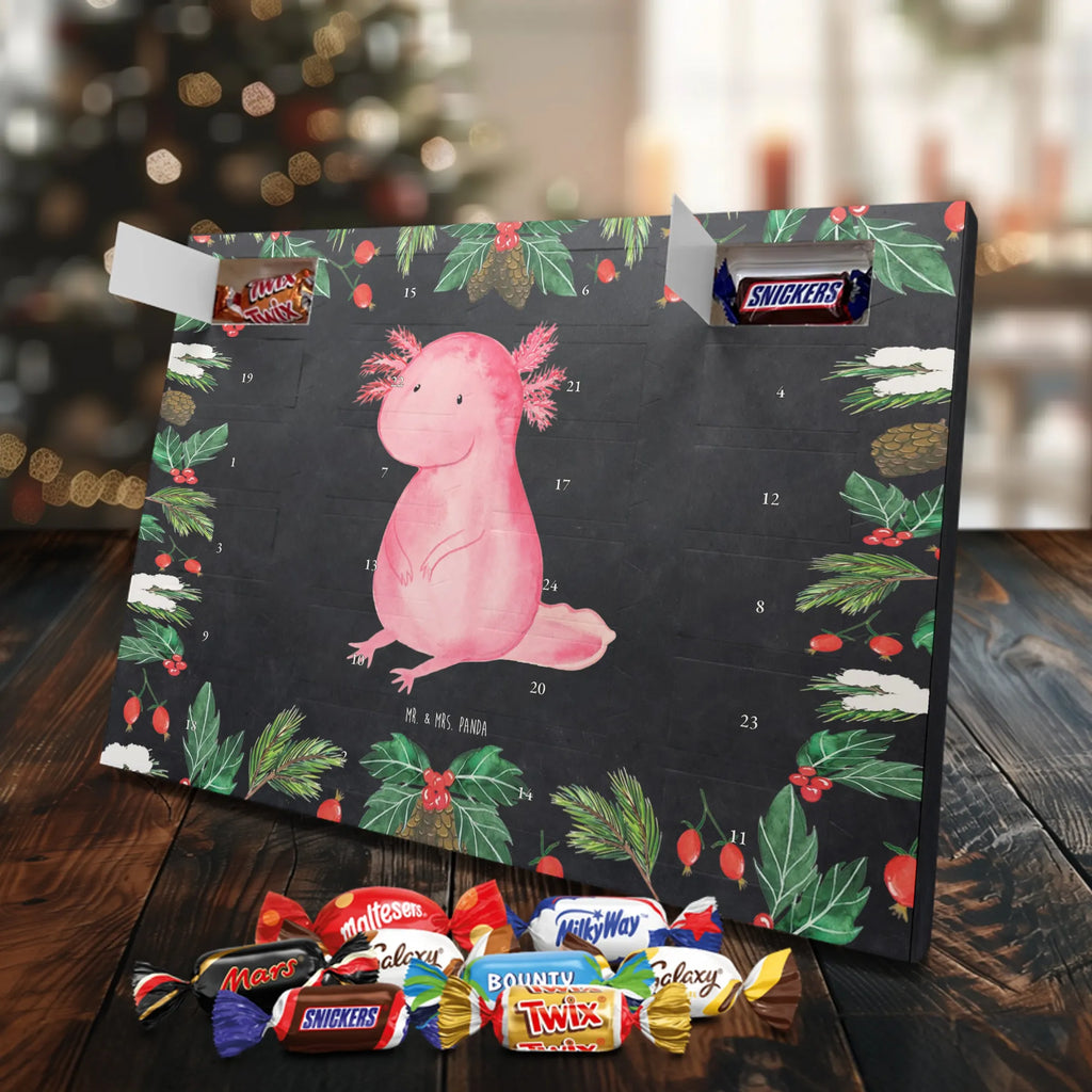 Chocolate advent calendar axolotl zero Mexican walking fish, Axelotl, marine animals, salamander, lifestyle, girlfriend, cheerful, contented, worldly wisdom, wisdom