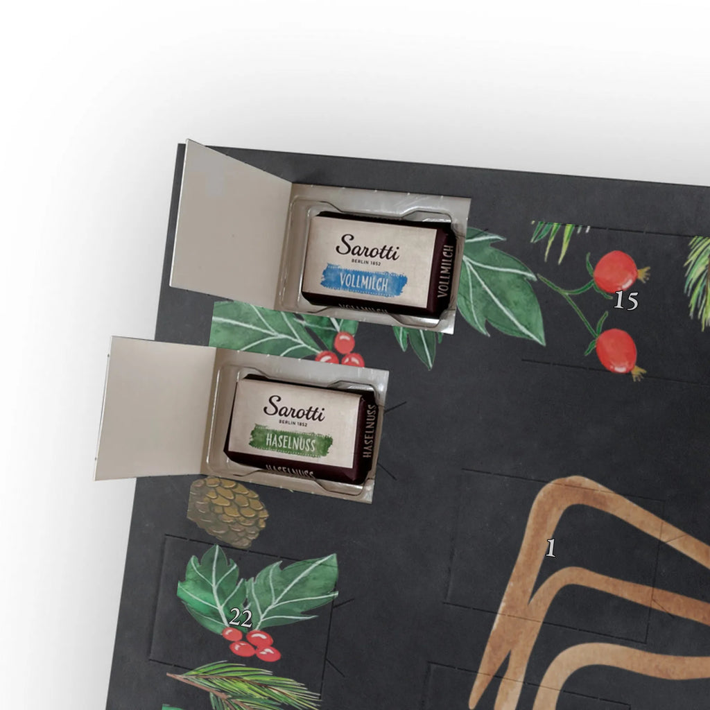 Chocolate advent calendar Spider Agathe coffee Spider, Spider Agathe