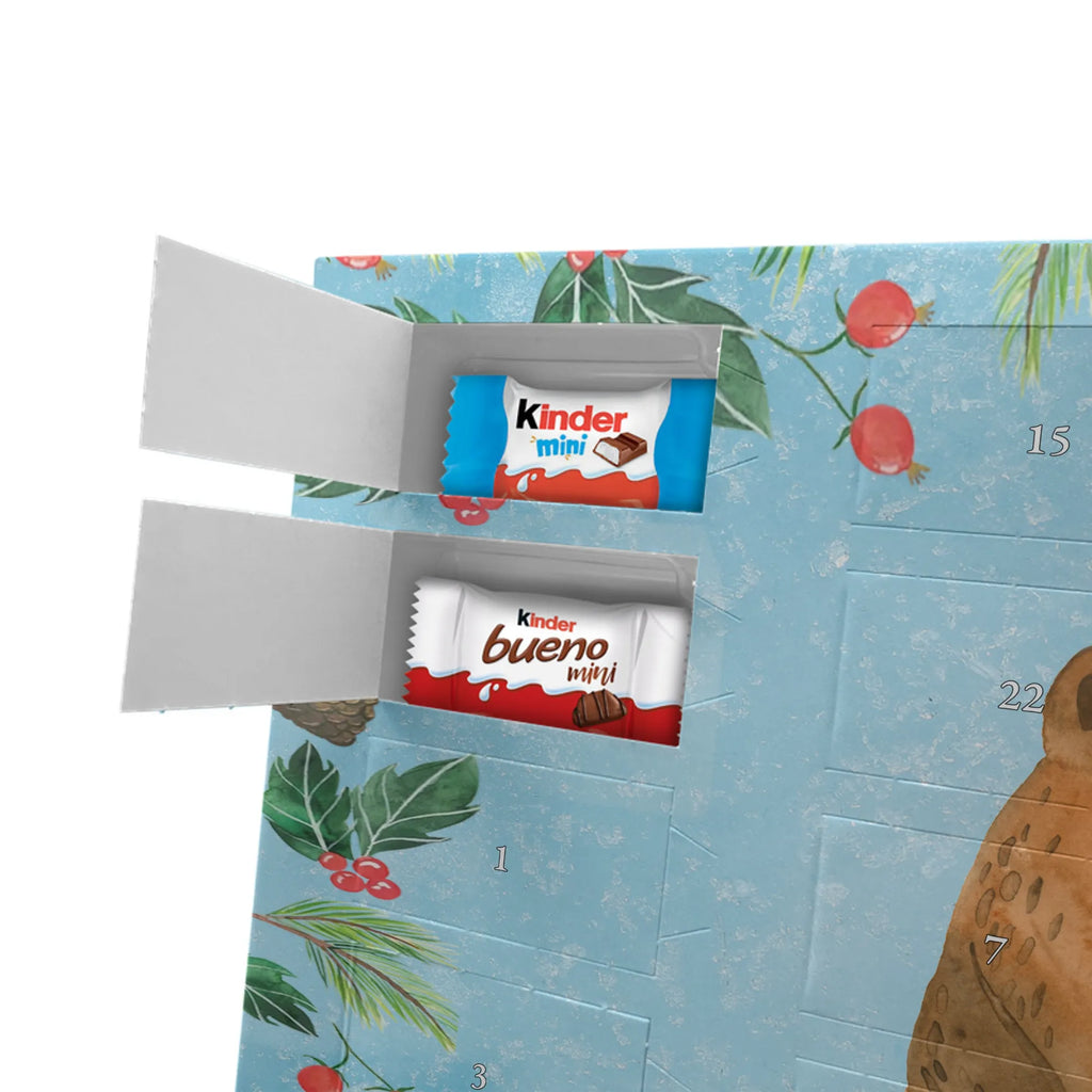 Chocolate advent calendar bear Test cuddly toy, teddy bear, diploma, examination passed, certificate, examinations, degree