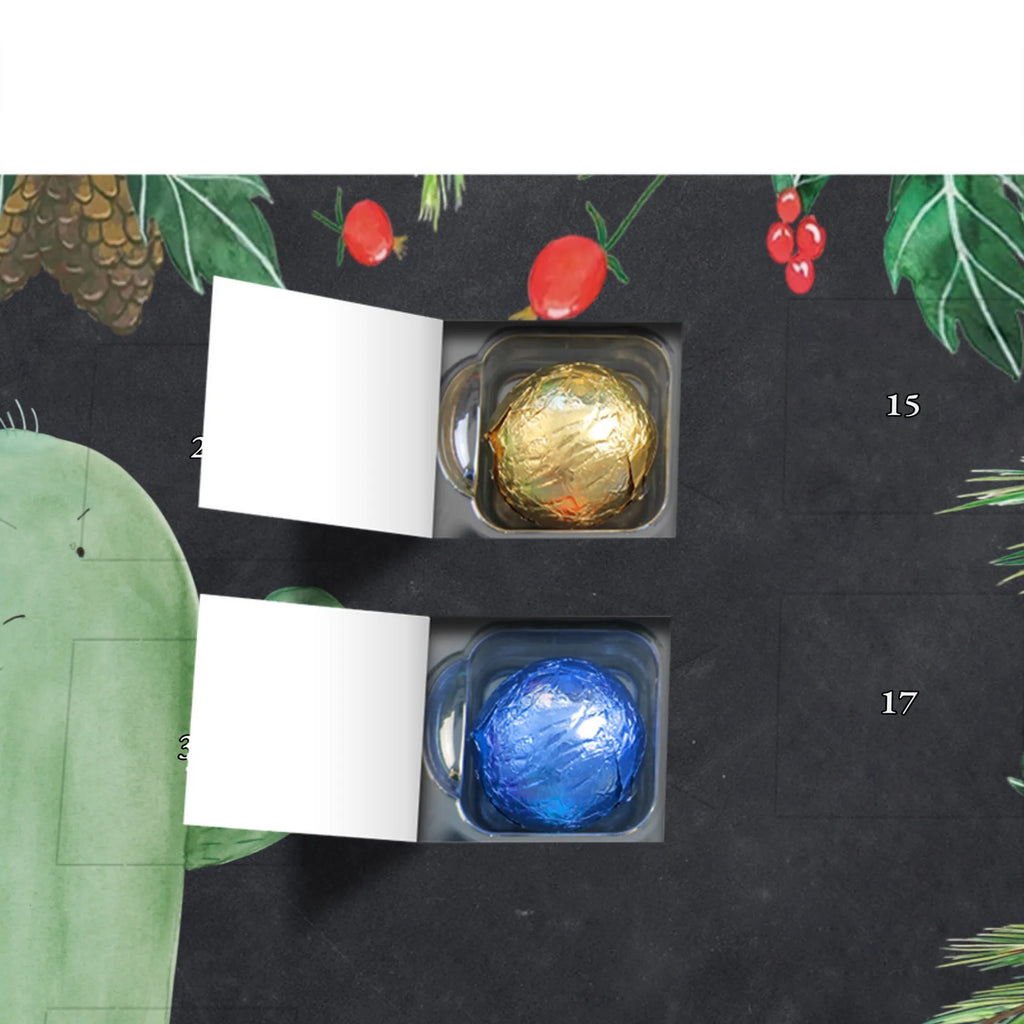 Chocolate advent calendar cactus Fury cactus, cactuses, plants, small green cactus, cactus plant, colleague, angry, annoy, office life, school