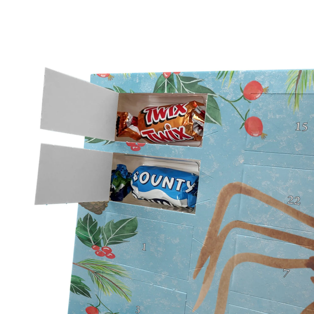 Chocolate advent calendar Spider Agathe coffee Spider, Spider Agathe