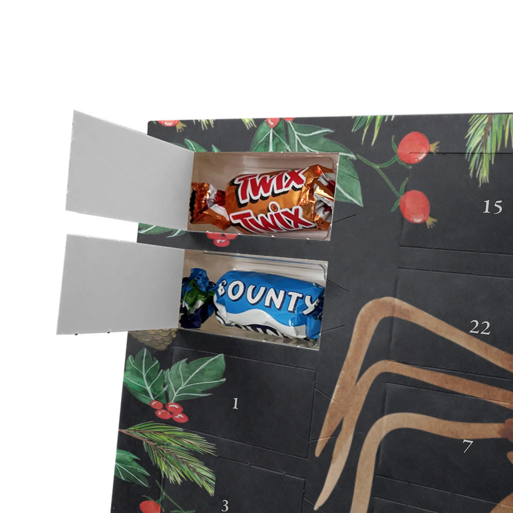 Chocolate advent calendar Spider Agathe coffee Spider, Spider Agathe