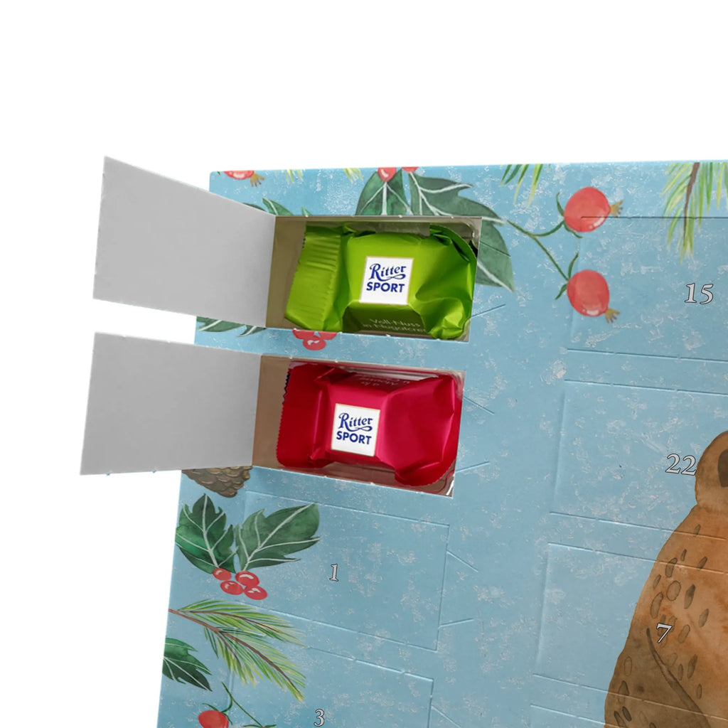 Chocolate advent calendar bear Test cuddly toy, teddy bear, diploma, examination passed, certificate, examinations, degree