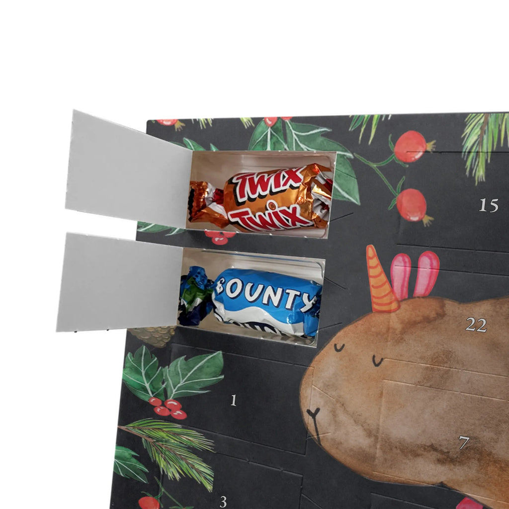 Chocolate advent calendar unicorn Guinea pig guinea pig, squirrels