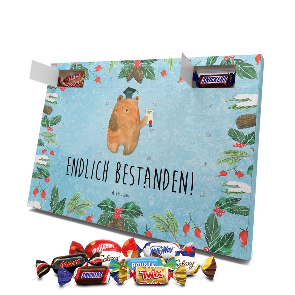 Chocolate advent calendar bear Test cuddly toy, teddy bear, diploma, examination passed, certificate, examinations, degree