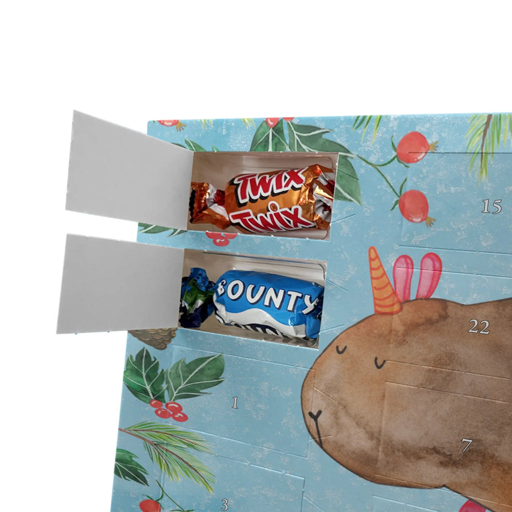 Chocolate advent calendar unicorn Guinea pig guinea pig, squirrels