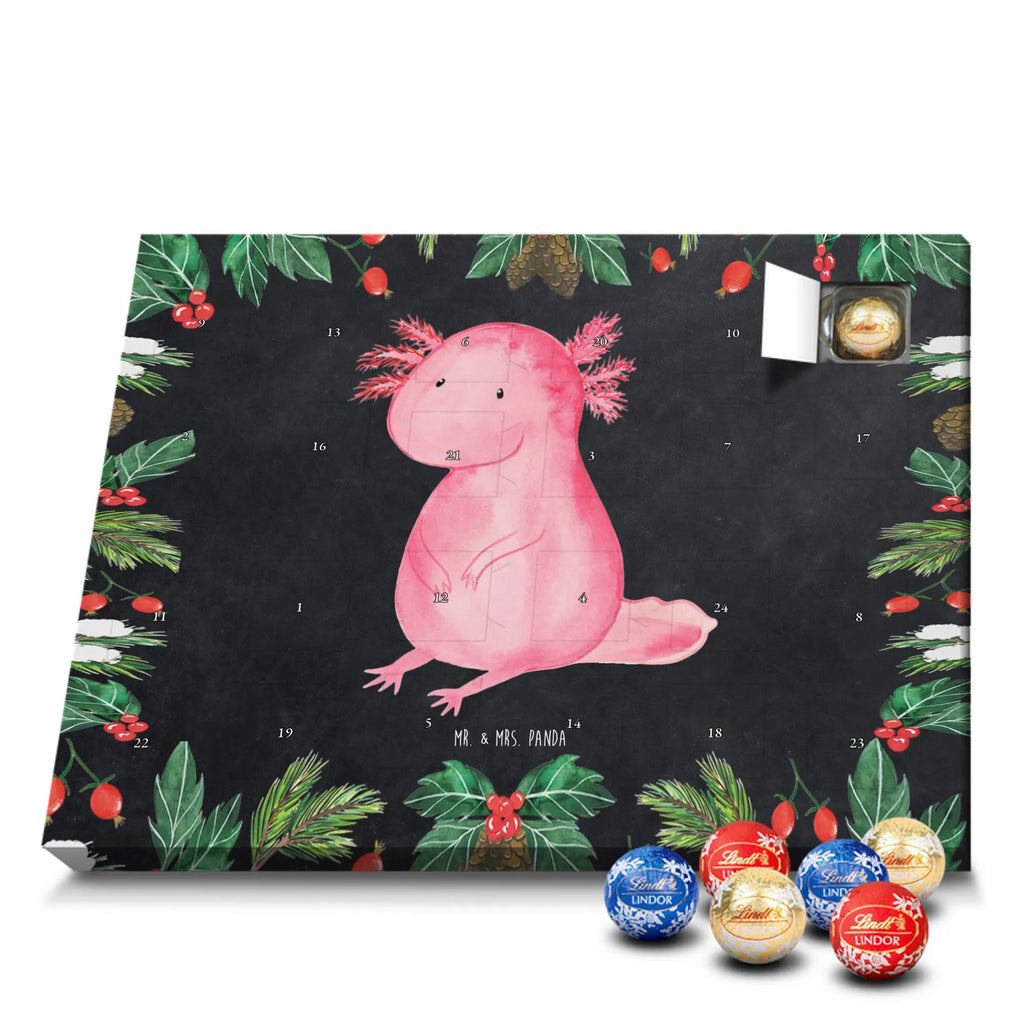 Chocolate advent calendar axolotl zero Mexican walking fish, Axelotl, marine animals, salamander, lifestyle, girlfriend, cheerful, contented, worldly wisdom, wisdom