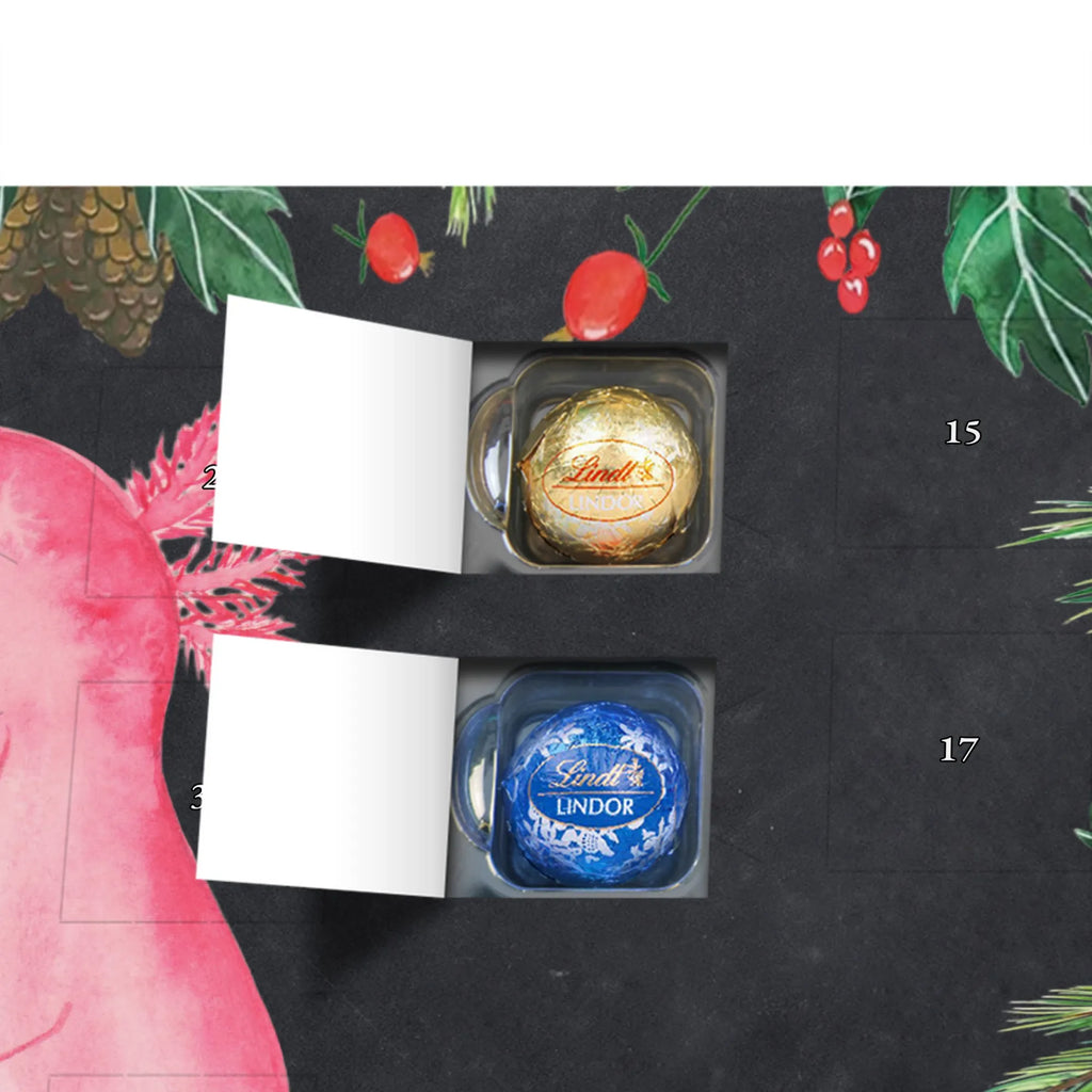 Chocolate advent calendar axolotl zero Mexican walking fish, Axelotl, marine animals, salamander, lifestyle, girlfriend, cheerful, contented, worldly wisdom, wisdom