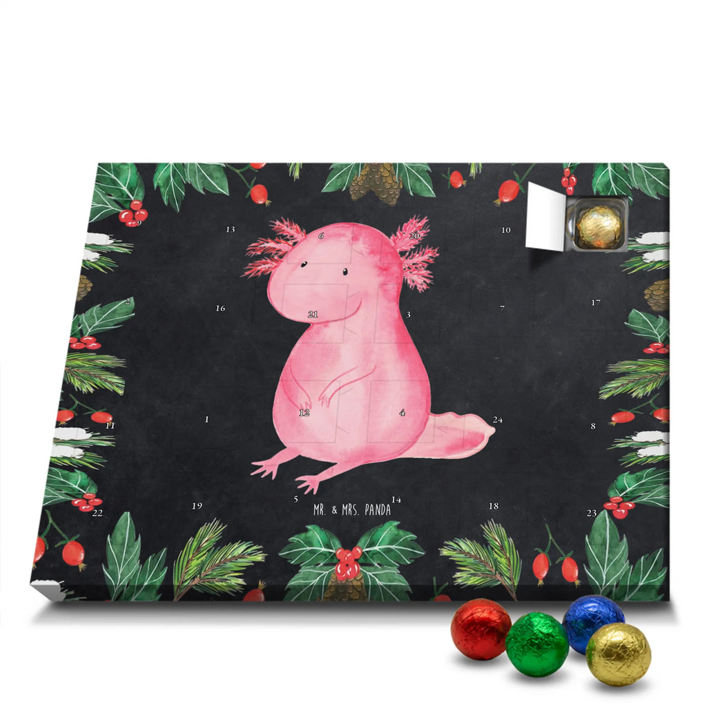 Chocolate advent calendar axolotl zero Mexican walking fish, Axelotl, marine animals, salamander, lifestyle, girlfriend, cheerful, contented, worldly wisdom, wisdom