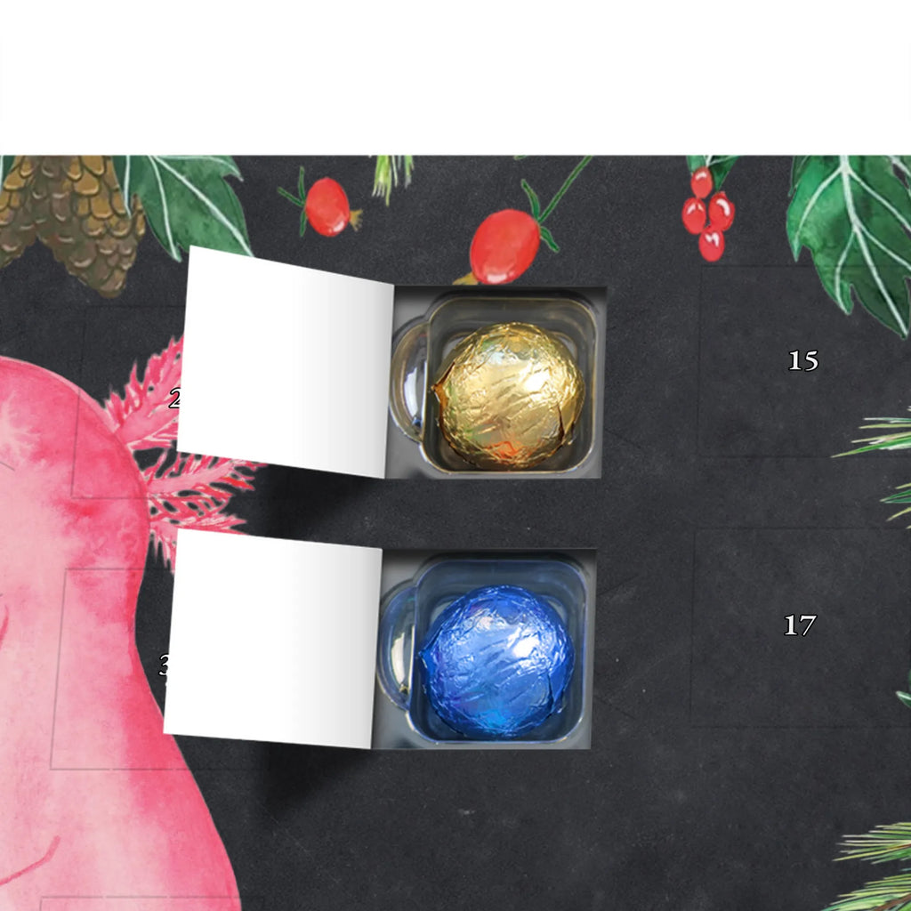 Chocolate advent calendar axolotl zero Mexican walking fish, Axelotl, marine animals, salamander, lifestyle, girlfriend, cheerful, contented, worldly wisdom, wisdom