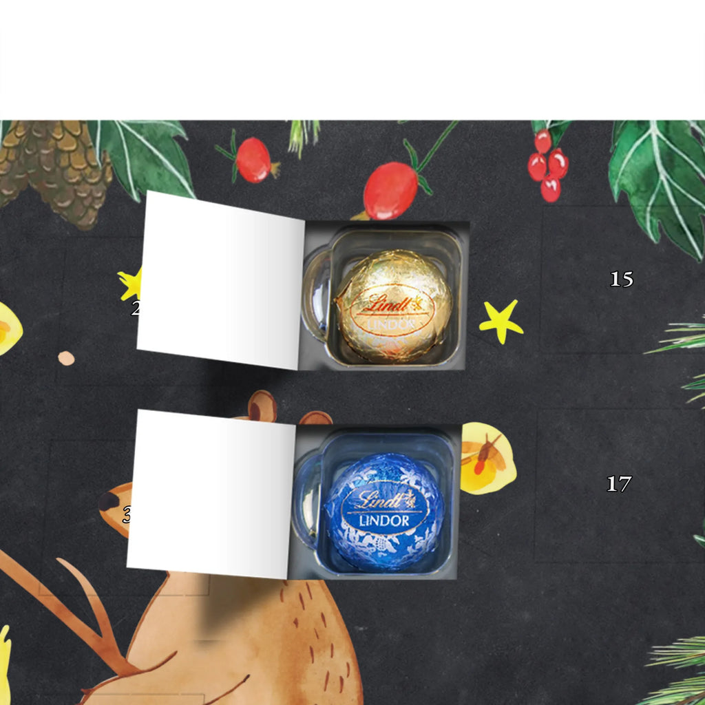 adventskalender süßigkeiten Bär & Marienkäfer Lagerfeuer weihnachtskalender schoko, Schokoladen-Weihnachtskalender, adventskalender süßigkeiten, kalender weihnachten, Weihnachtskalender, adventskalender schoko, adventskalender pralinen, süßigkeiten kalender, Schokoladen Adventskalender, Weihnachten Adventskalender, Weihnachtskalender Schokolade, Schoko-Adventskalender, Schokoladen-Adventskalender, Adventskalender, süßigkeiten adventskalender, schokoladenkalender, schoko weihnachtskalender, Weihnachts Kalender, Schoko Adventskalender, schoko kalender, schokolade adventskalender, schokoladen kalender, Adventskalender Schokolade, schokokalender, pralinen adventskalender, kalender schokolade, Bär, Teddybär, Teddy, Lagerfeuer