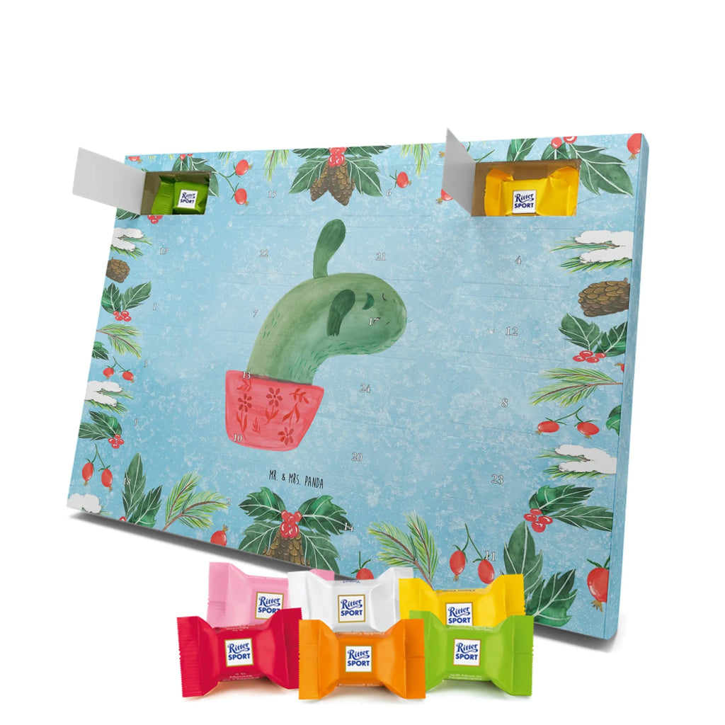 Chocolate advent calendar cactus mummy cactus, cactuses, plants, small green cactus, cactus plant, cactus love, cacti, office life, school, quota, annoyance