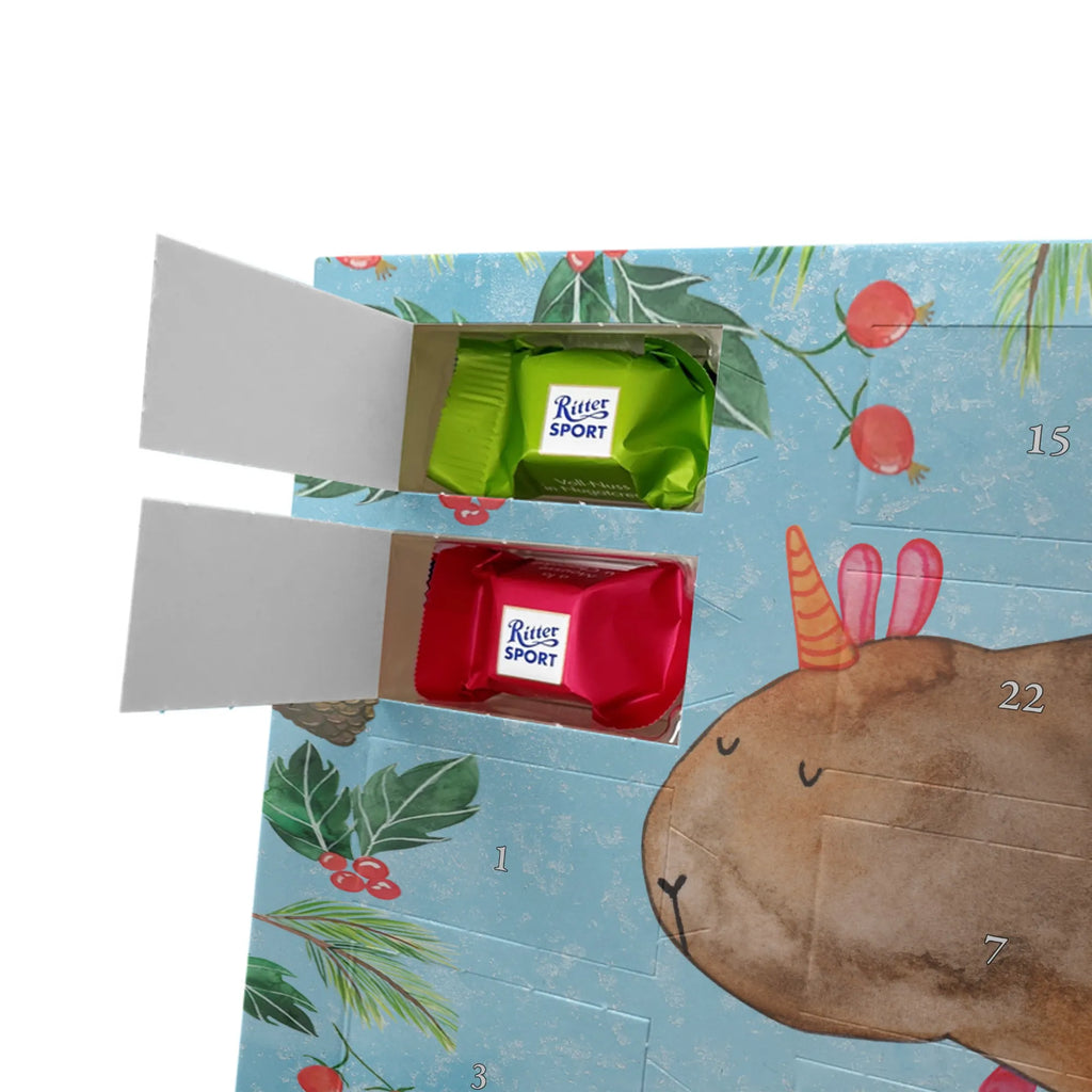 Chocolate advent calendar unicorn Guinea pig guinea pig, squirrels