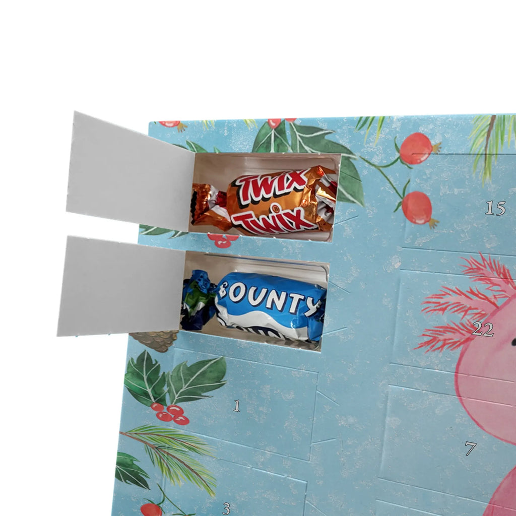 Chocolate advent calendar axolotl zero Mexican walking fish, Axelotl, marine animals, salamander, lifestyle, girlfriend, cheerful, contented, worldly wisdom, wisdom